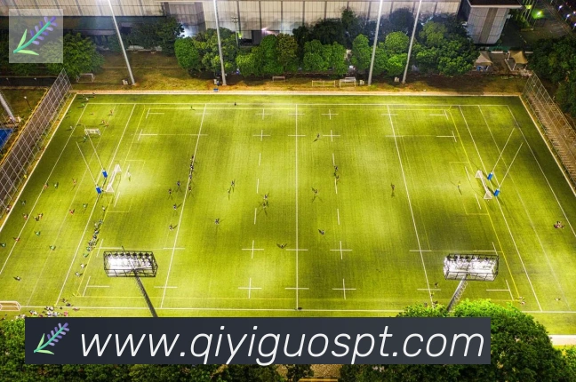 奇异果体育平台生态图