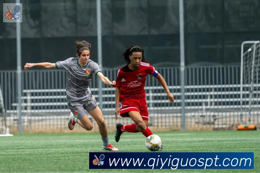 奇异果体育全站App